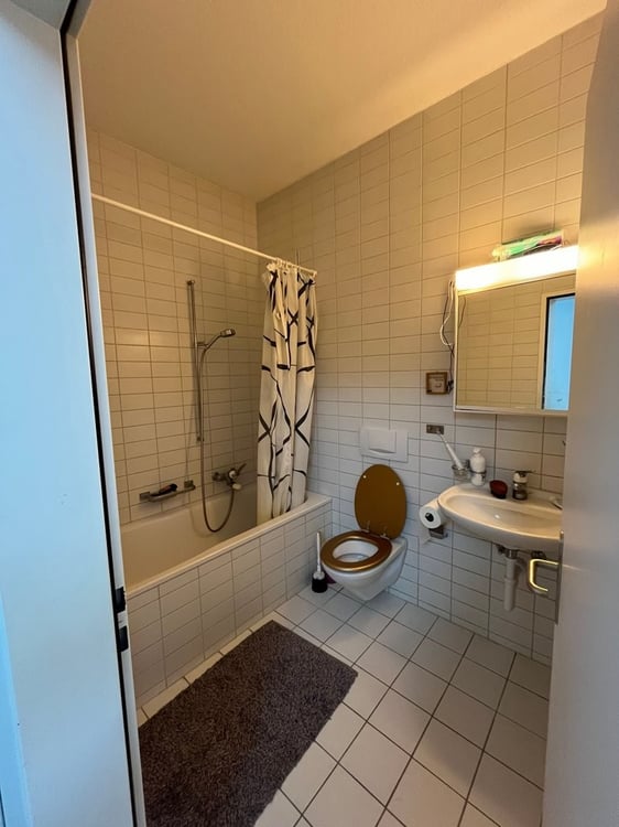 Wohnung im Herzen Oltens 5