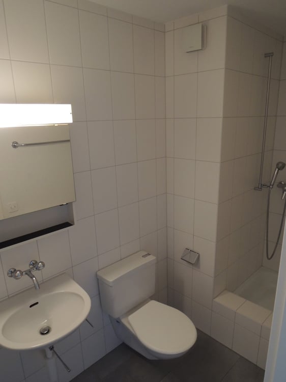 5 ½ Zimmer-Wohnung in Aarberg mieten 8