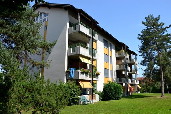5 ½ Zimmer-Wohnung in Aarberg mieten 1