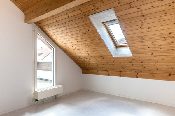 Dachwohnung sucht neue Bewohner 3