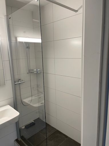 Charmante 1-Zimmer-Wohnung mit Bergblick in Lichtensteig 14