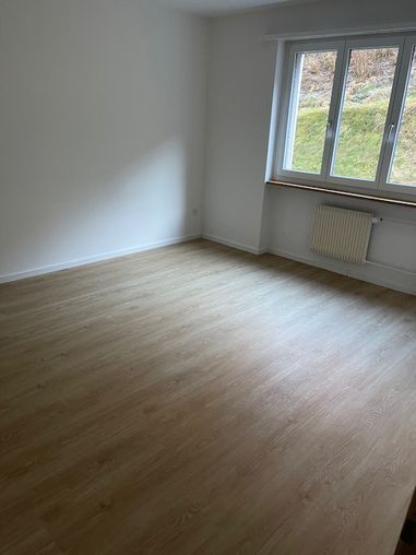 Charmante 1-Zimmer-Wohnung mit Bergblick in Lichtensteig 8