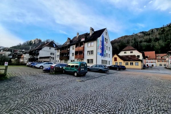 Superbe espace commercial au COEUR DE SAINT-URSANNE 3