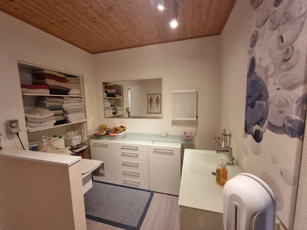 Superbe espace commercial au COEUR DE SAINT-URSANNE 5