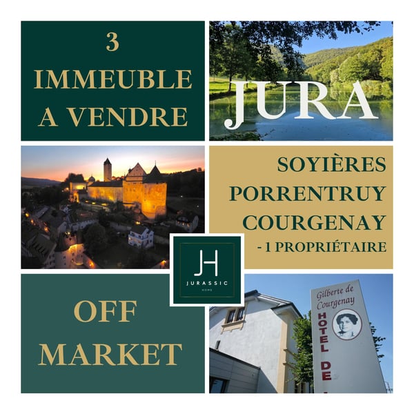 UNIQUE OPPORTUNITÉ D'INVESTISSEMENT PORTEFEUILLE À 5% NET / année - JURA - 3 IMMEUBLES 1