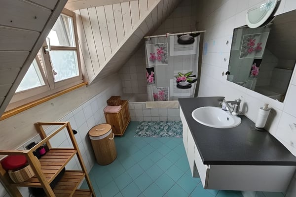 Appartement en triplex avec cachet et terrasse de 18m2 4