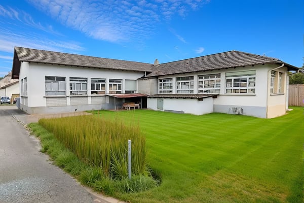 Bâtiment commercial avec fort potentiel résidentiel - Au coeur de Alle 1