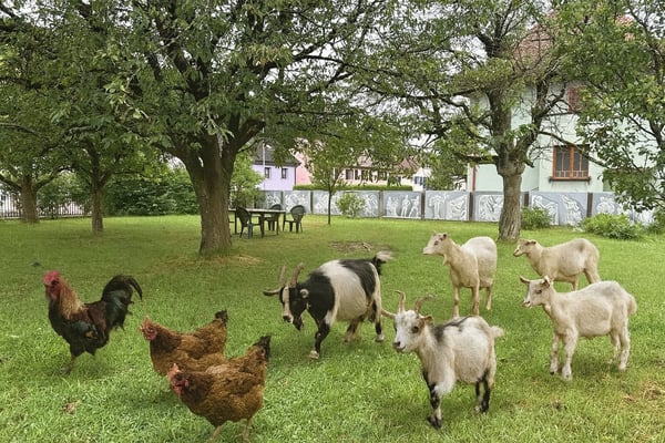 Maison de caractère et de charme sur Vendlincourt. 2
