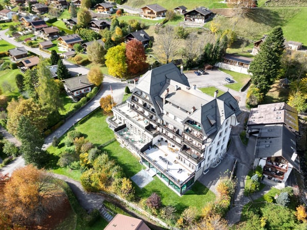 Appartement luxueux et meublé - grande terrasse - A quelques minutes de Gstaad 10