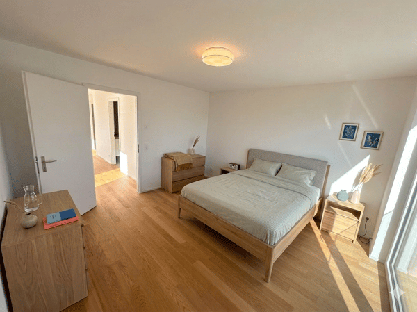 Magnifique duplex avec grande terrasse de 32 m² lumineux et moderne 8