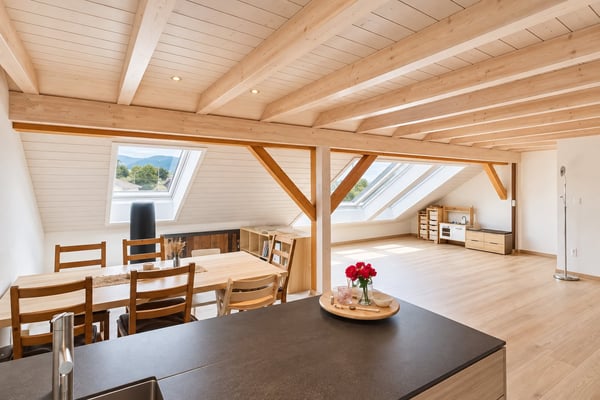 Lumineux Loft en attique de 4.5 pièces à Alle 5
