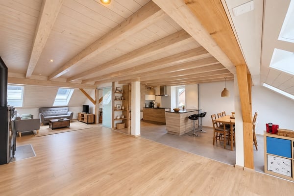 Lumineux Loft en attique de 4.5 pièces à Alle 2