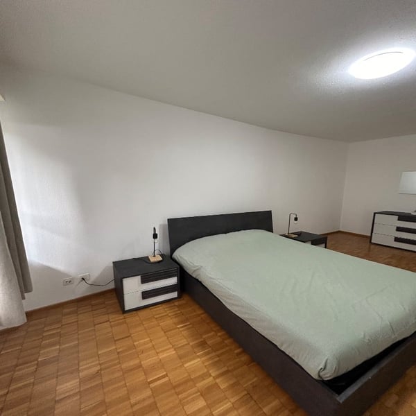 Bilocale luminoso e arredato a Lugano 9