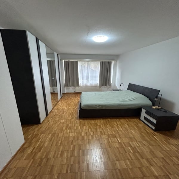 Bilocale luminoso e arredato a Lugano 6