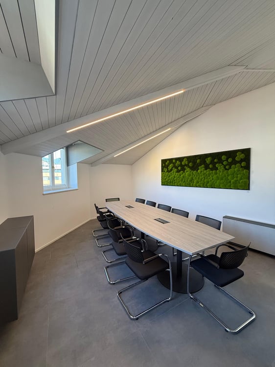 Konferenzraum Executive in Lugano 11