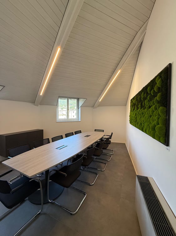 Konferenzraum Executive in Lugano 8