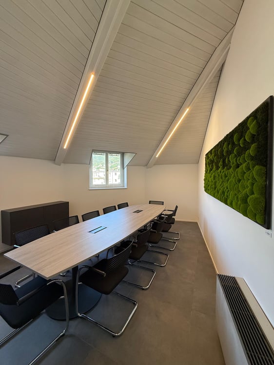 Konferenzraum Executive in Lugano 7