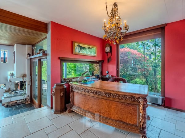 Maison individuelle avec vue panoramique sur le Lac à Denens 6