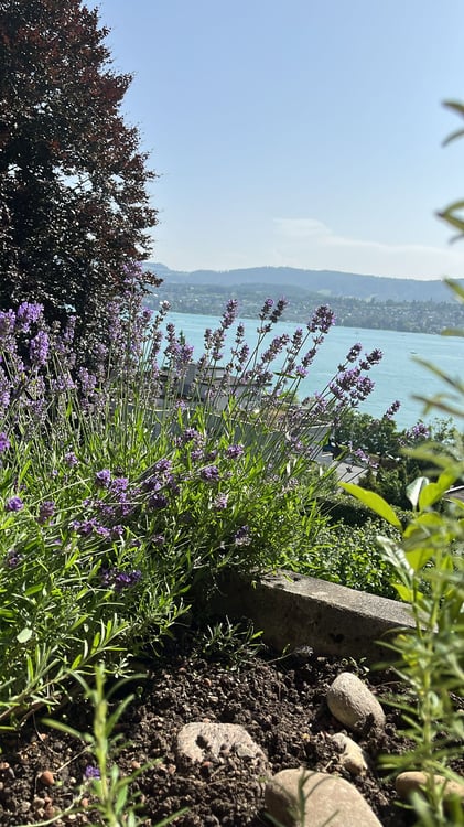 Charming 1-Room Furnished Apartment in Zollikon with Fireplace 1