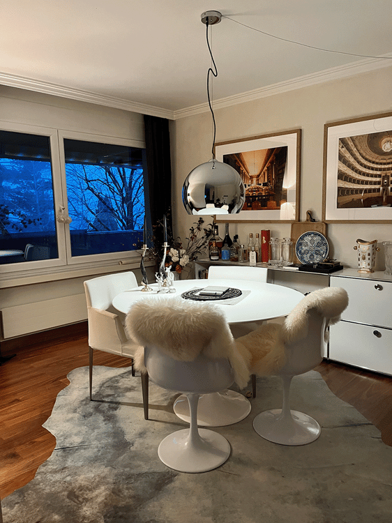 Charming 1-Room Furnished Apartment in Zollikon with Fireplace 3