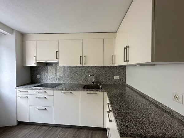 Renoviertes Mehrfamilienhaus mit zwei Wohnungen in Schaffhausen 10