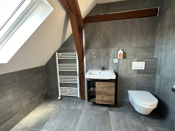 Renoviertes Mehrfamilienhaus mit zwei Wohnungen in Schaffhausen 7