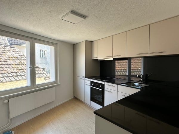 Helle, renovierte 1.5 Zim. Wohnung im historischen Gebäude 3