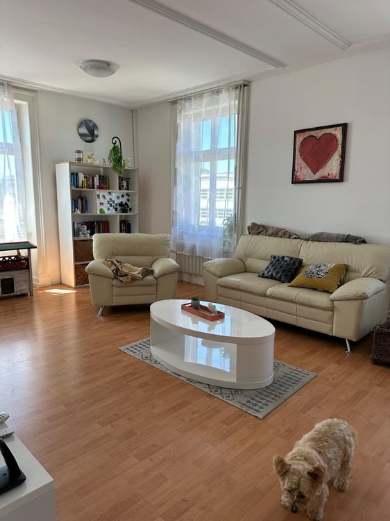 Charmantes Mehrfamilienhaus mit Geschichte in Erlen 9