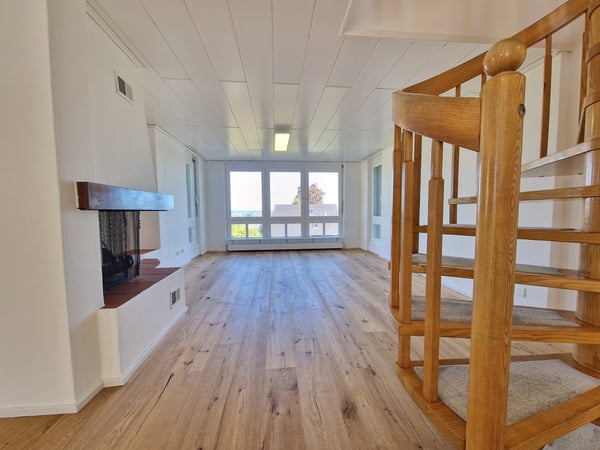 Charmantes, 2 Generationen Haus, grosser Garten, komplett renoviert 3