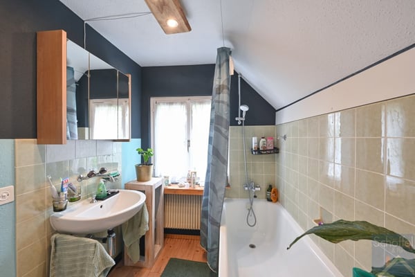 1 ½-Zimmer Einfamilienhaus 8