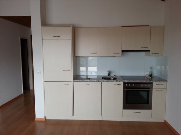 2.5 Zi.-Dachwohnung mit grosser Terrasse 4