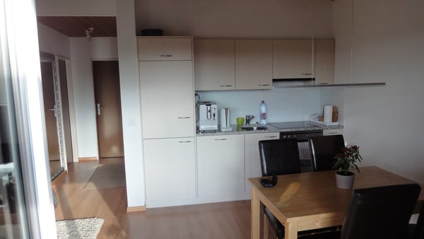 2.5 Zi.-Dachwohnung mit grosser Terrasse 3