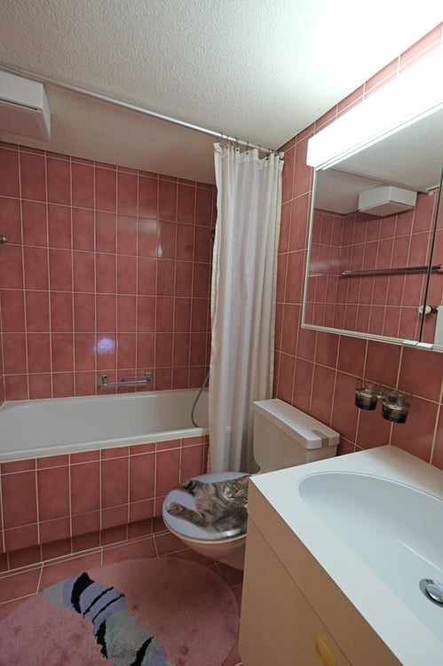 Eine 2.5-Zimmer-Wohnung mit Galerie an bester Lage in Laax 9