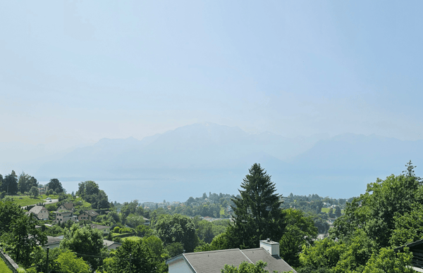 Maison de charme à Brent avec une magnifique vue sur le lac Léman 9