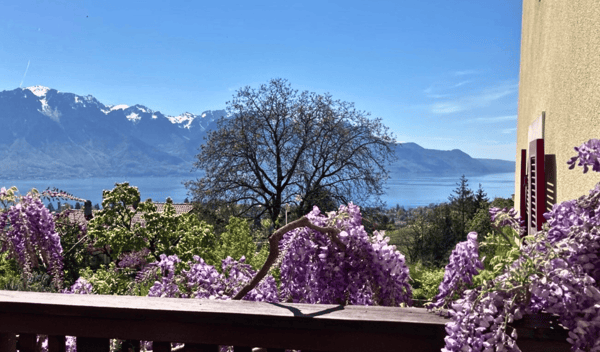Maison de charme à Brent avec une magnifique vue sur le lac Léman 8