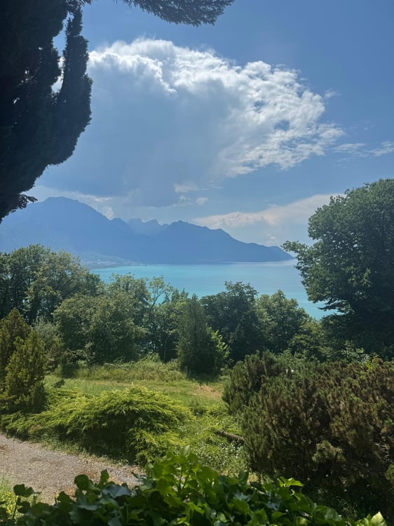 COUP DE CŒUR – VUE LAC MAGNIFIQUE – VIAGER DURÉE 5 ANS 11