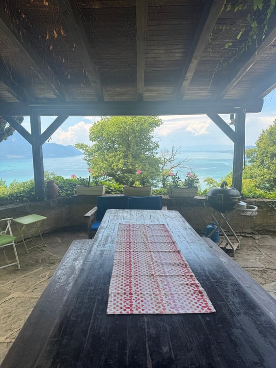 COUP DE CŒUR – VUE LAC MAGNIFIQUE – VIAGER DURÉE 5 ANS 12