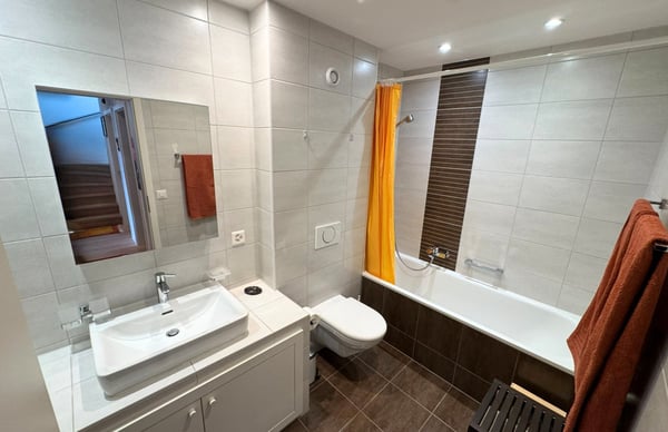 Maison mitoyenne avec viager occupé 5 ans et terrain annexe constructible 11