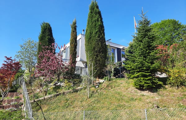 Maison mitoyenne avec viager occupé 5 ans et terrain annexe constructible 12
