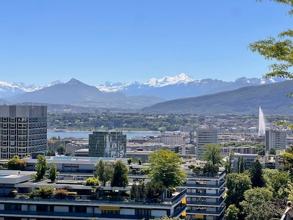 Viager – Magnifique appartement, vue panoramique et piscine sur le toit - Petit-Saconnex 2