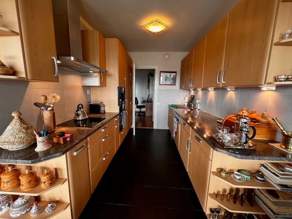 Viager – Magnifique appartement, vue panoramique et piscine sur le toit - Petit-Saconnex 3