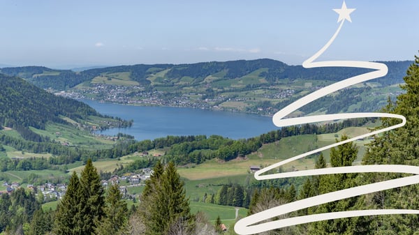 Sattel-Hochstuckli SZ: Ein Zuhause für besondere Momente 1