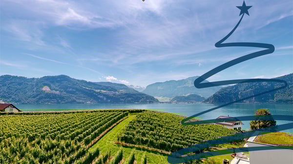 Traumhaftes Einfamilienhaus über dem Vierwaldstättersee 1