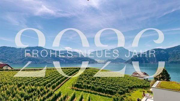 Traumhaftes Einfamilienhaus über dem Vierwaldstättersee 1