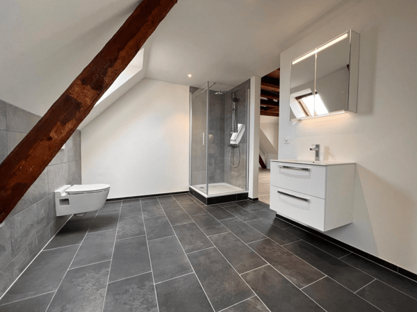 Stilvolle Dachwohnung mit hohen Räumen – modernisiert & zentral gelegen 1