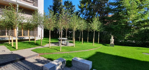3.5-Zimmer-Minergie-Wohnung mit grossem Balkon in Reinach mieten 8