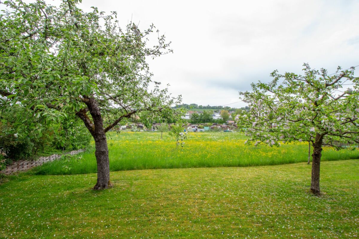 5.5-Zimmer-Doppeleinfamilienhaushälfte mit ausgebautem Dachstock und Aussicht