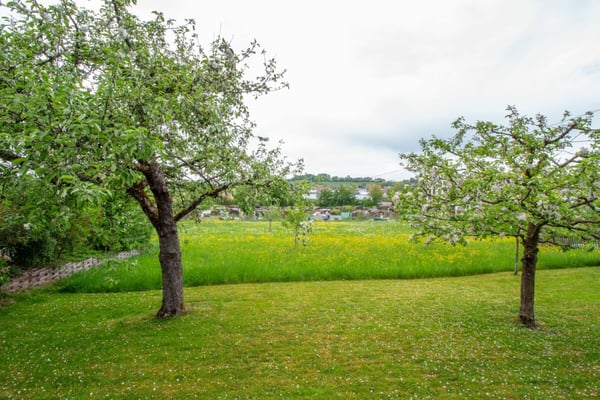 5.5-Zimmer-Doppeleinfamilienhaushälfte mit ausgebautem Dachstock und Aussicht 25