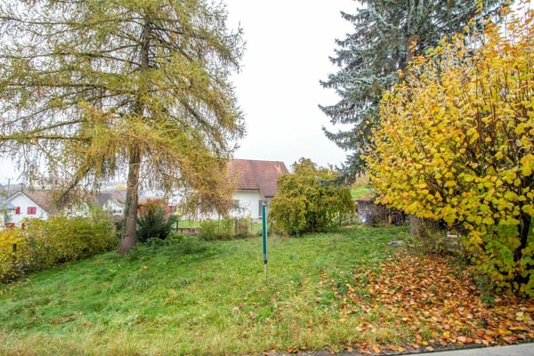 Freistehendes Einfamilienhaus mit Potenzial, separater grossen Werkstatt-/Garagengebäude 5