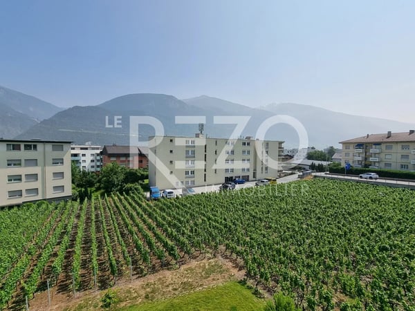 Appartement type Villa 4.5 pièces - Sierre 9